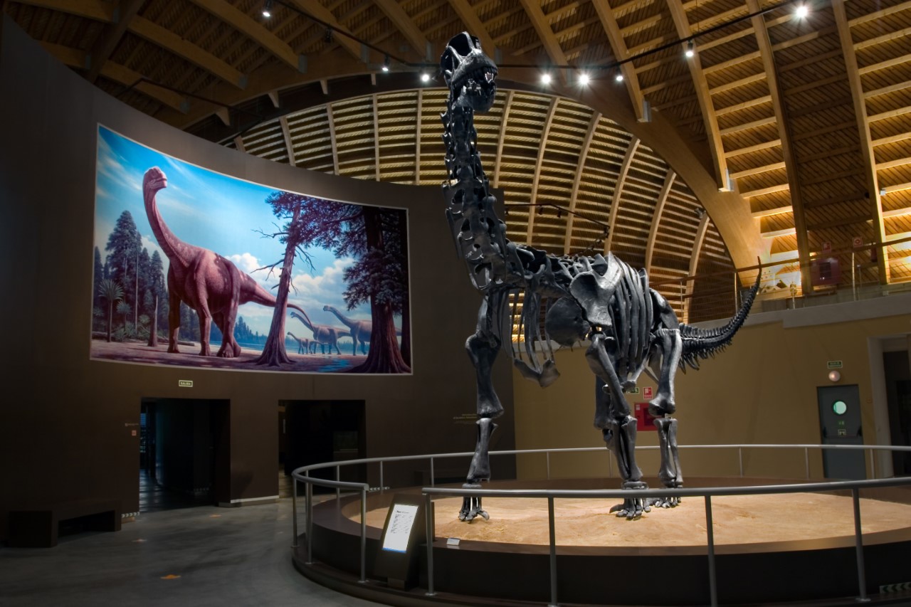 MUJA El Digital de Asturias