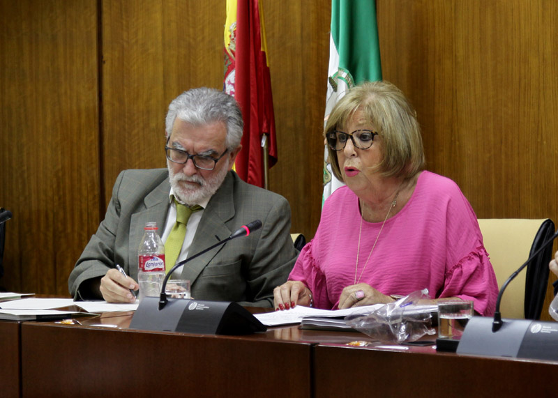 1495017330726 El Digital de Asturias