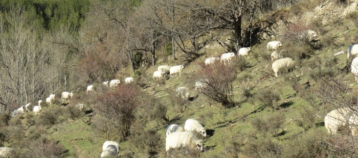 IMG3093fc5c13be El Digital de Asturias