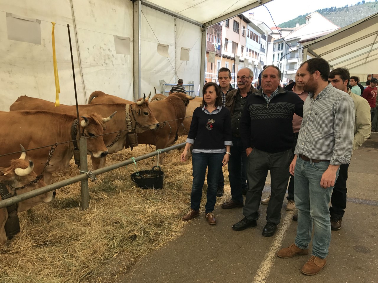 Razaasturianamontaña El Digital de Asturias