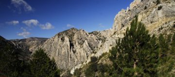 imagenesMNOrganosdeMontoroEduardoVinuales8bdd2dbb El Digital de Asturias