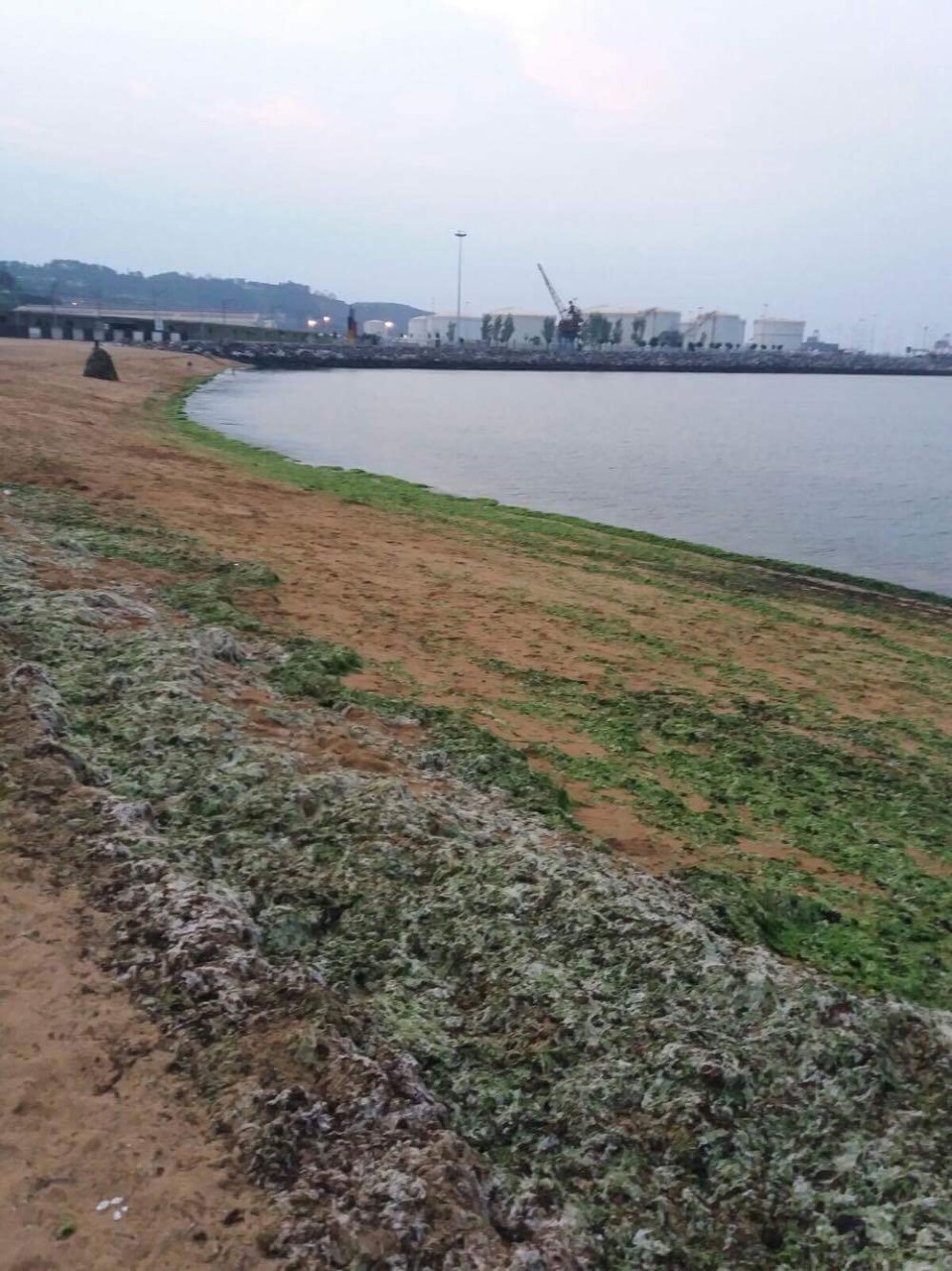 Arbeyal2 El Digital de Asturias