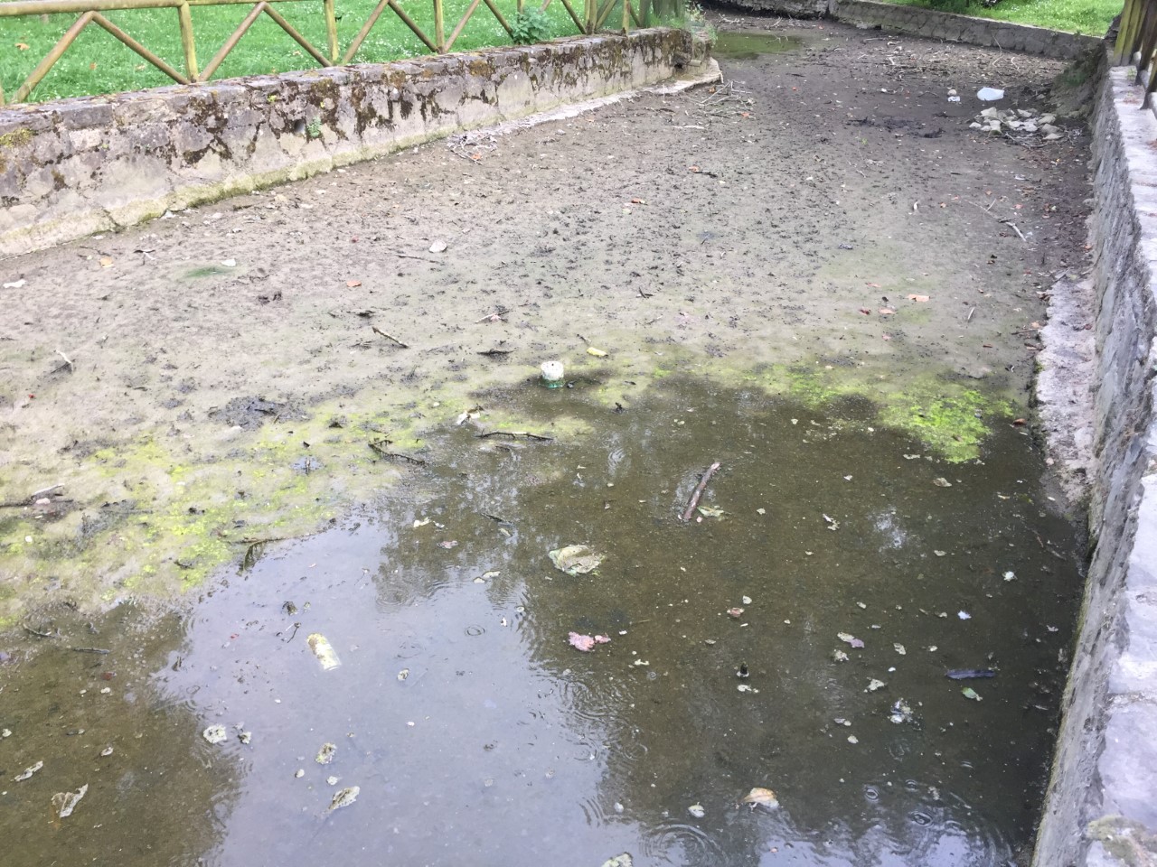 Imagecs1 El Digital de Asturias