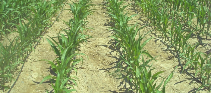 imagenesP60800227a596545 El Digital de Asturias