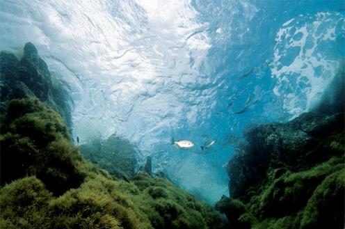 080814 El Digital de Asturias