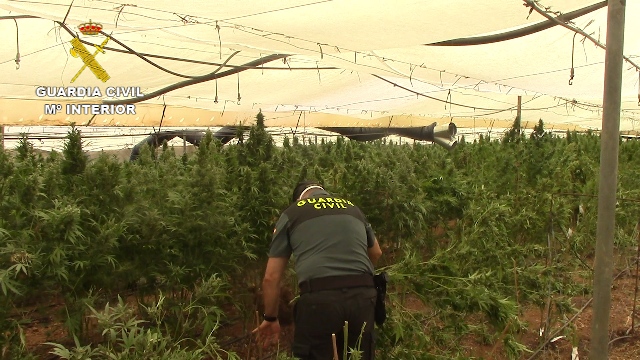 630202 El Digital de Asturias