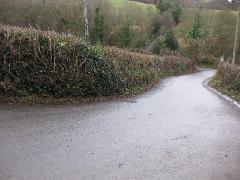 desbroces marianela 2JPG El Digital de Asturias