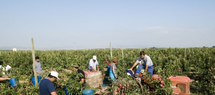 1110124AR04aff4a3 El Digital de Asturias