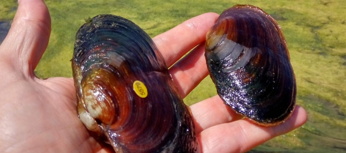 MG20170803 El Digital de Asturias