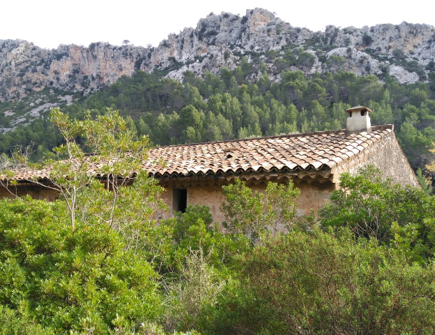 eb11805 El Digital de Asturias