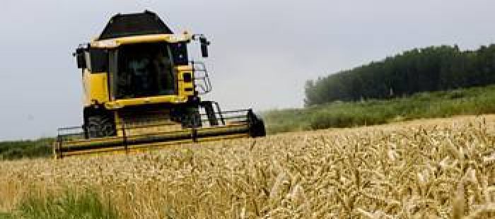 imagenesmigra100611MR676eb243 El Digital de Asturias