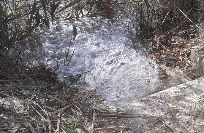 noticia128117 El Digital de Asturias