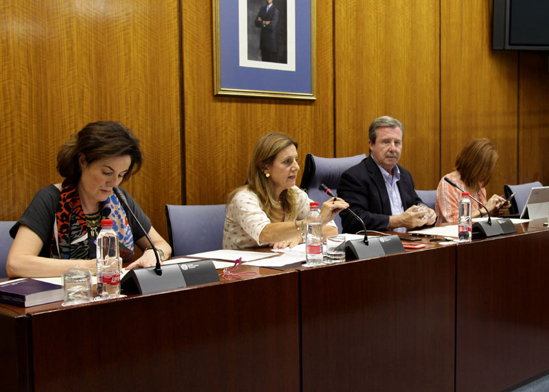 1504523618667 El Digital de Asturias