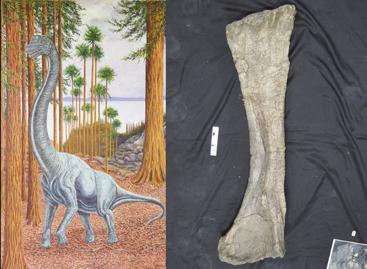 dinosauriosauropodoenSoria El Digital de Asturias