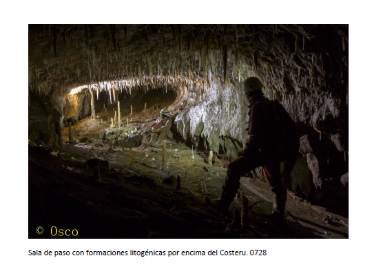 osco3 El Digital de Asturias