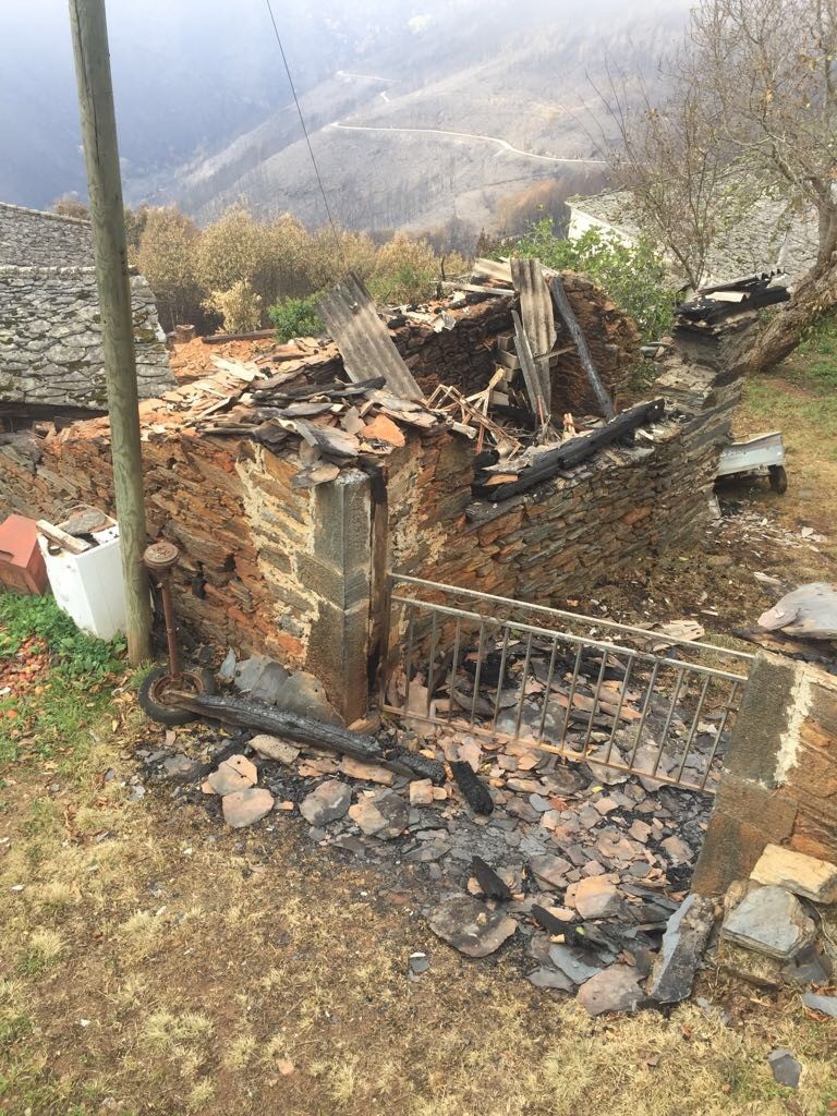 IMG8265 El Digital de Asturias