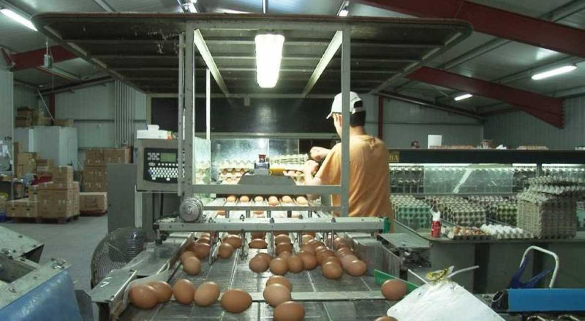 tele06217  El Digital de Asturias