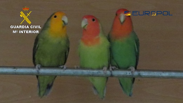 20171220OpSuzaku01 El Digital de Asturias