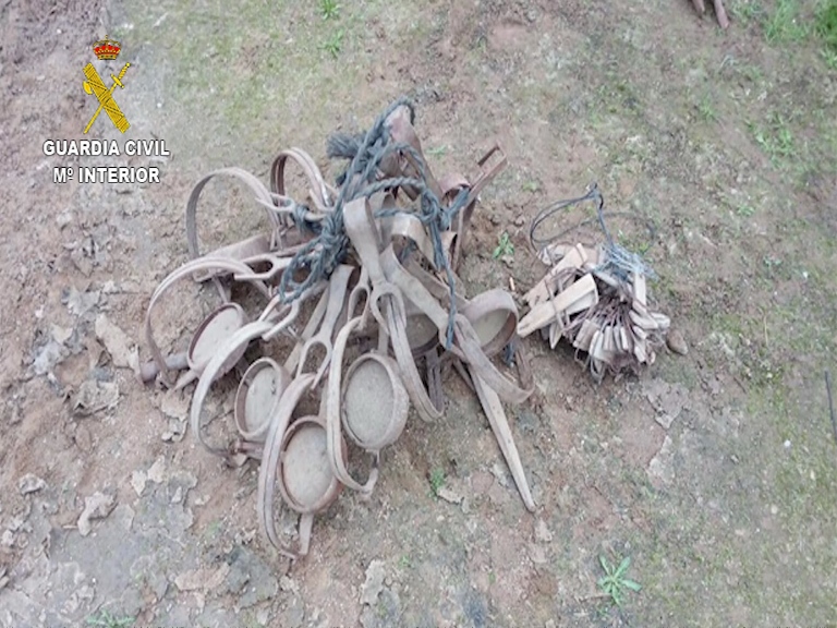 645201 El Digital de Asturias