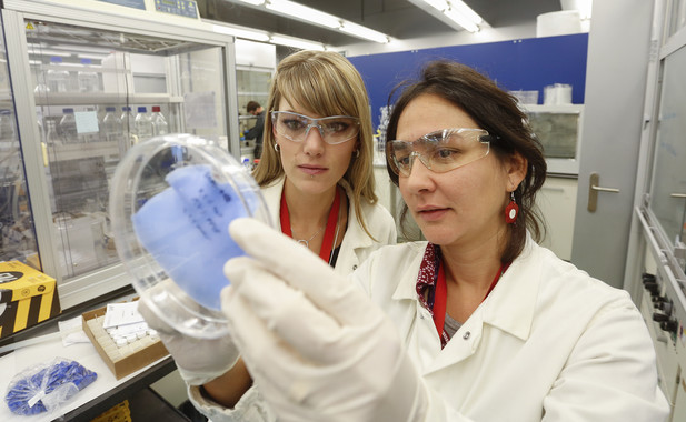 Membranasqueatrapandioxidodecarbonoimage380  El Digital de Asturias