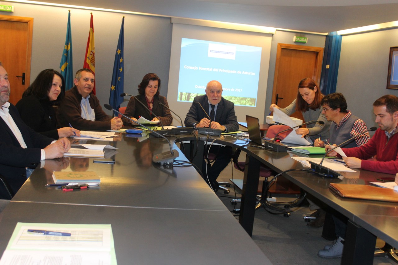 Reunion del Consejo Forestal El Digital de Asturias