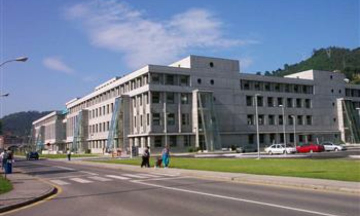 IMG20180124134324 El Digital de Asturias