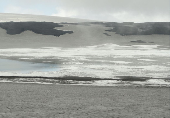 Detergentesecologicosapartirdelasbacteriasquesobrevivenenlospolosimage380 El Digital de Asturias