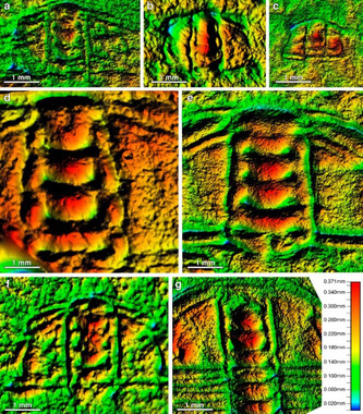 Unanuevatecnologiaayudaaestudiarlostrilobitesen3Dimage380 El Digital de Asturias