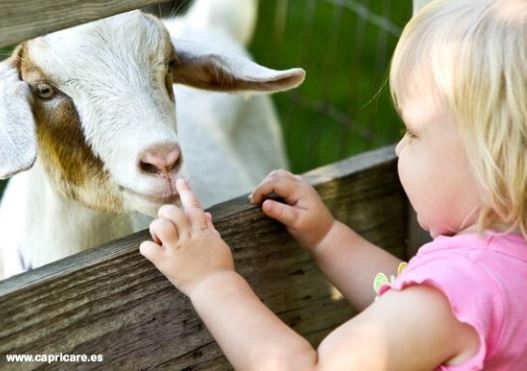 Capricare IP El Digital de Asturias