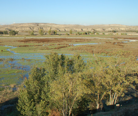 AsihacambiadoelpaisajedeMadrid El Digital de Asturias
