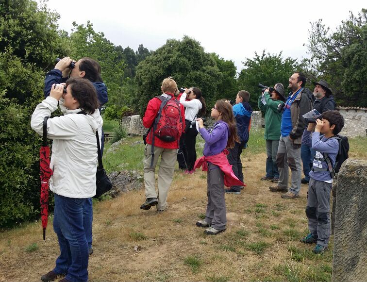 Ruta ornitológica El Digital de Asturias