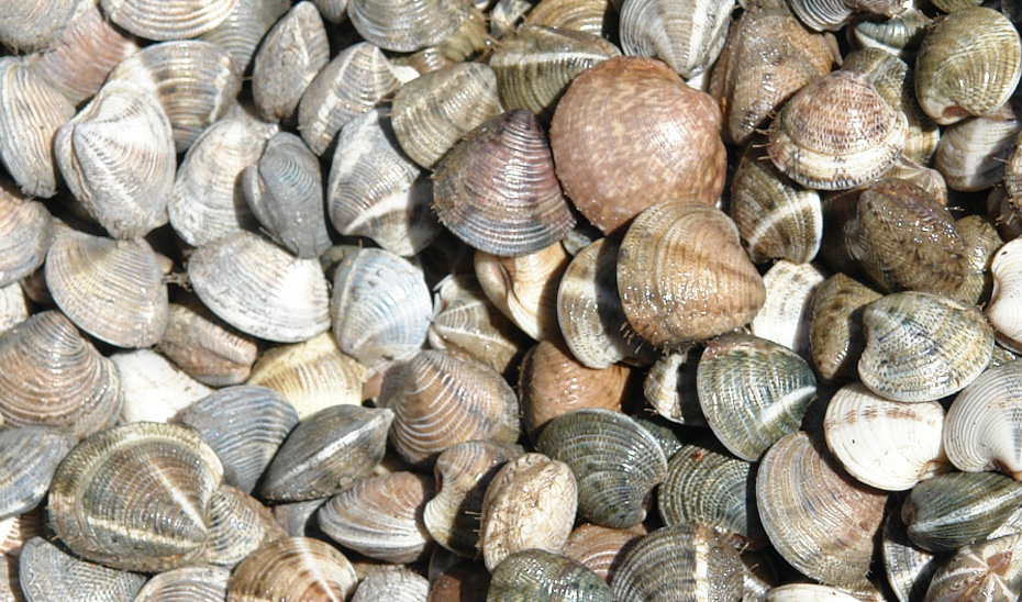 1528902631318chirla El Digital de Asturias