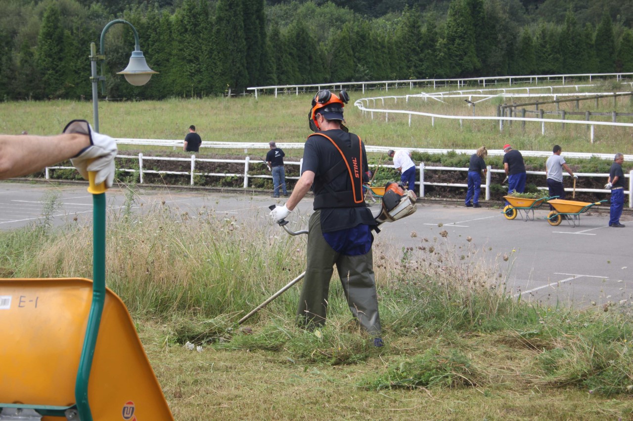 Asturcón El Digital de Asturias