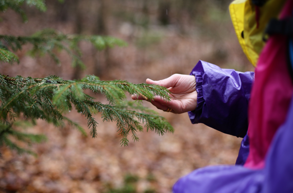 naturaleza El Digital de Asturias