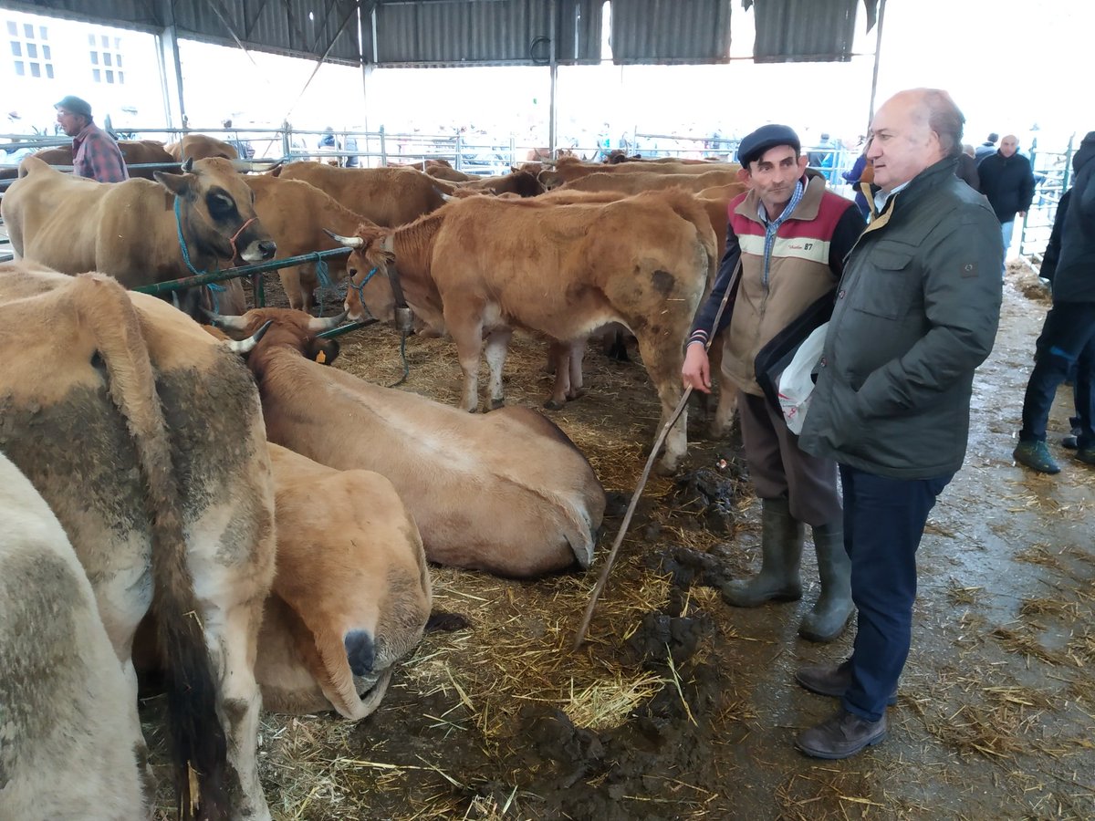 Luis VentaMercaón Cabañaquinta 2261118 El Digital de Asturias