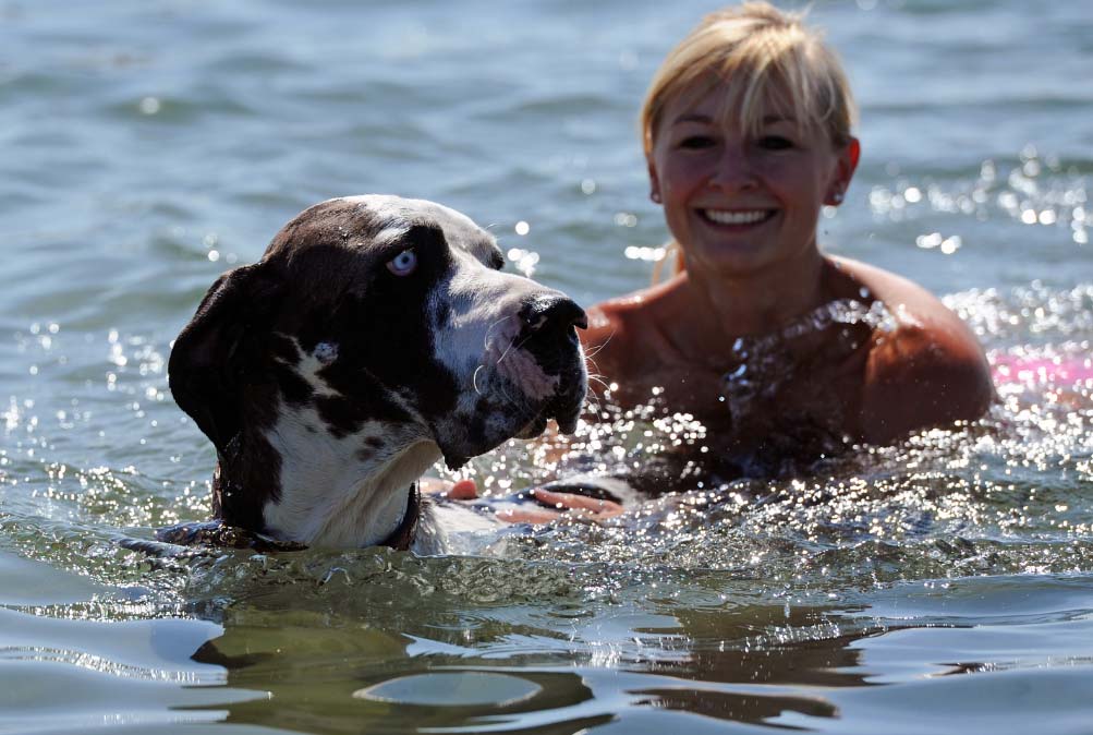 Comoquitaralperroelmiedoanadar El Digital de Asturias