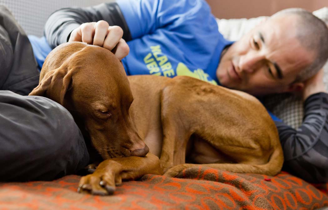 mascotasynuevapareja El Digital de Asturias