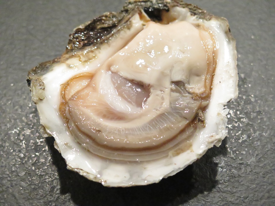 oyster1576297960720  El Digital de Asturias