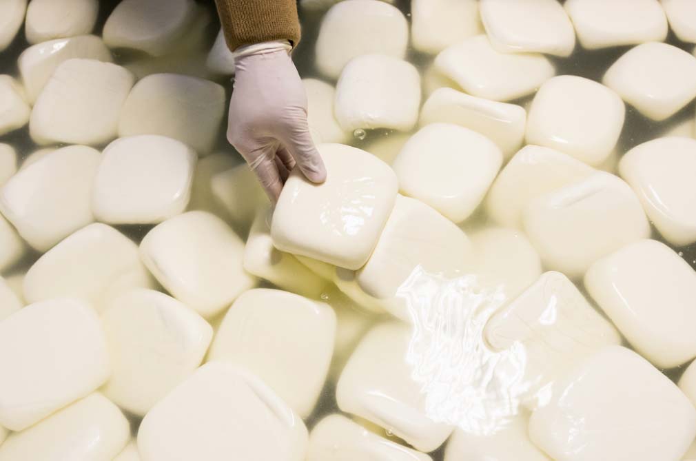 quesossirios El Digital de Asturias