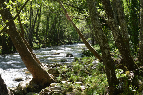 010816riomagrama El Digital de Asturias