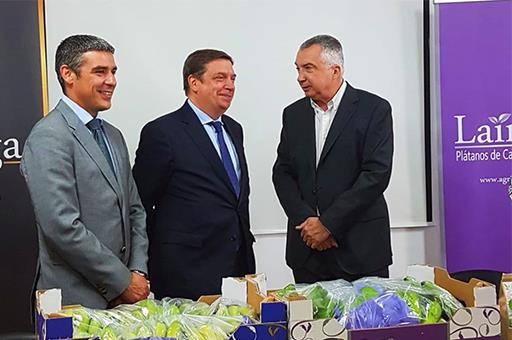 180219canarias El Digital de Asturias