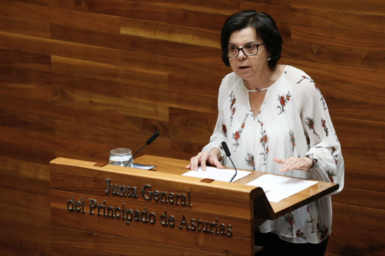 Consejera Desarrollo Rural en JGPA El Digital de Asturias