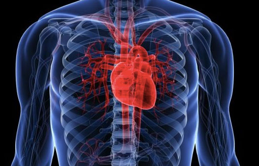 cardiologia El Digital de Asturias