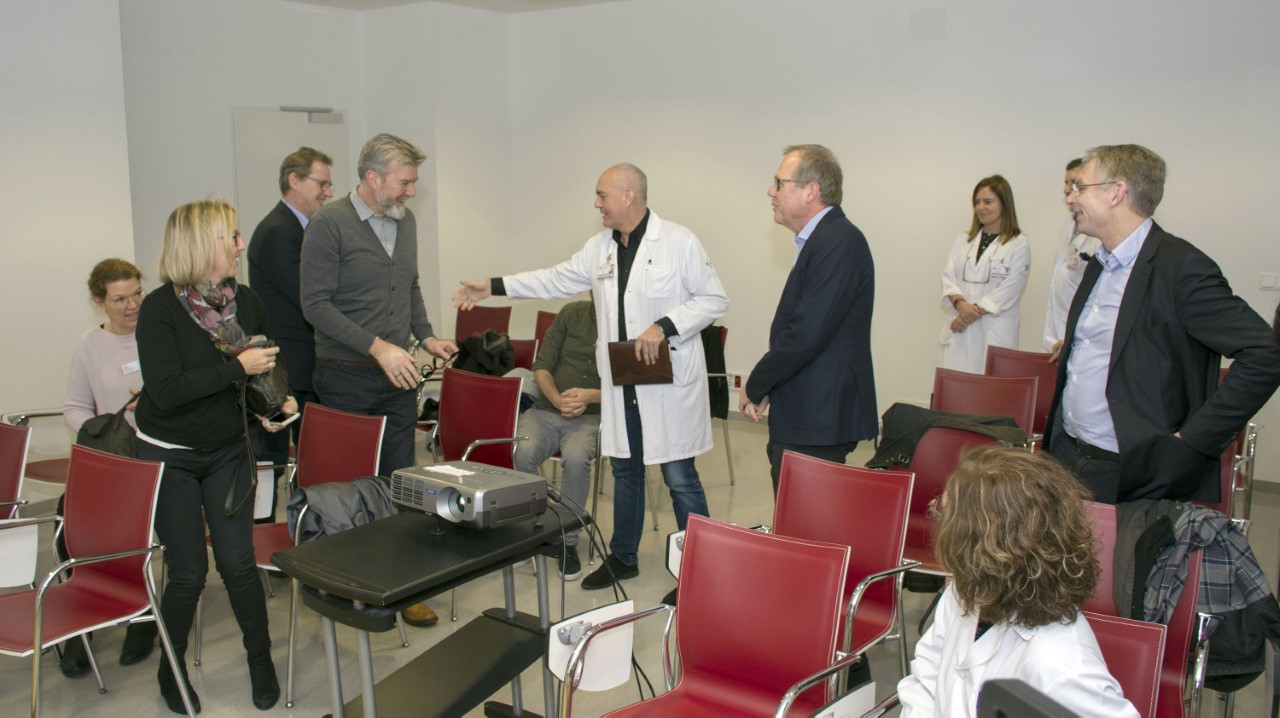 visita delegacion sueca huca El Digital de Asturias