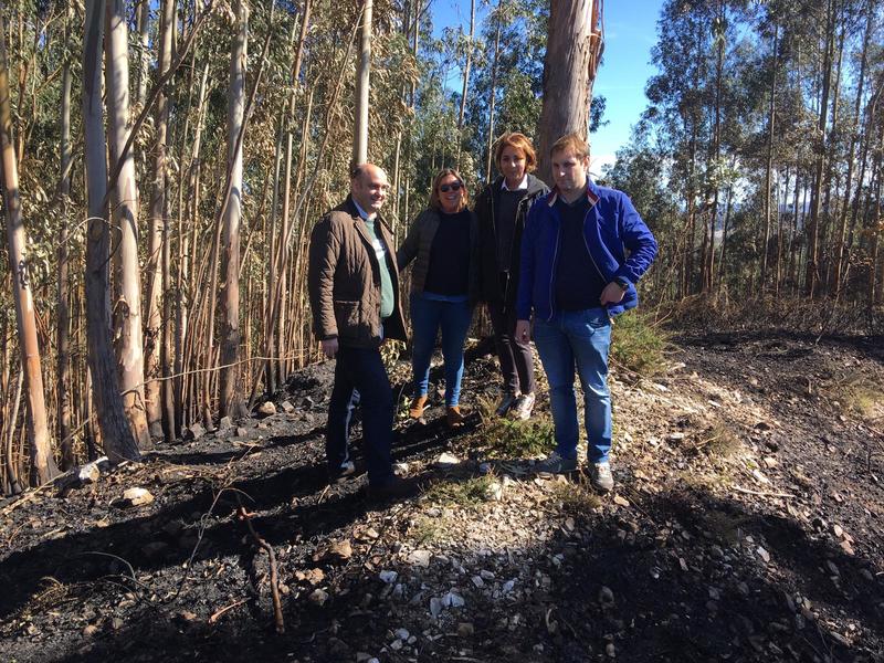 90971 El Digital de Asturias