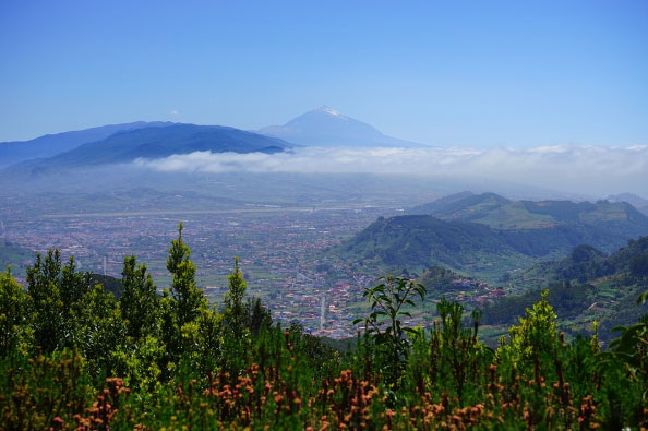 Te presentamos la mejor forma de conocer la isla de Tenerife