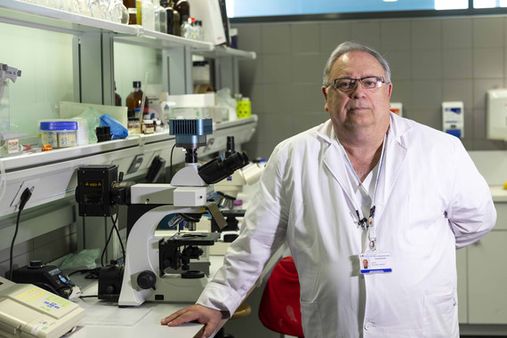 Unhospitalpublicomadrilenotrataralesionesmedularesconterapiacelularimage380 El Digital de Asturias