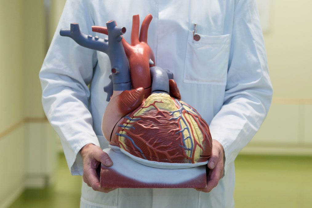 corazonroto El Digital de Asturias