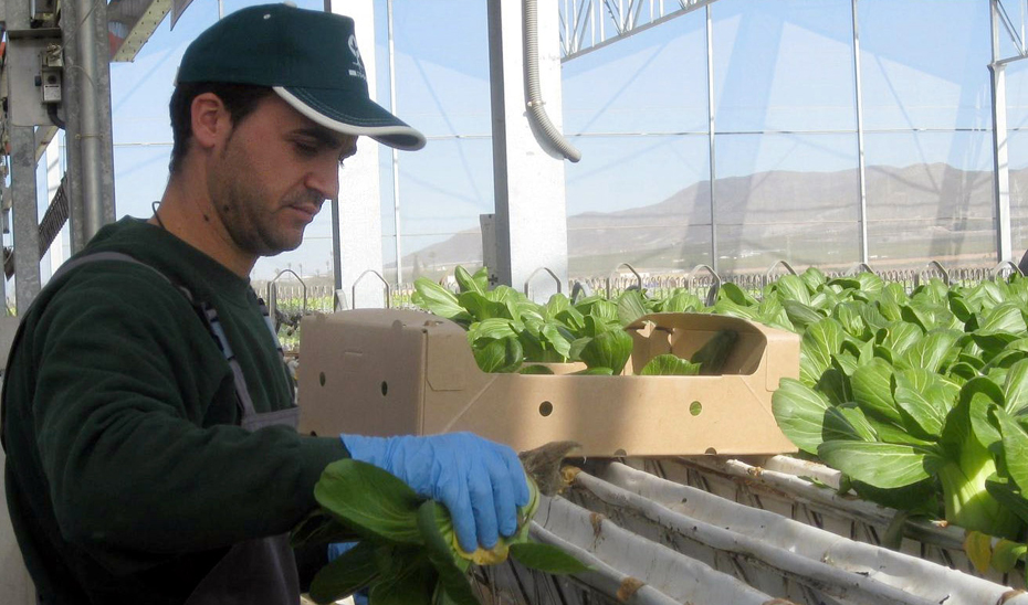 1535444240634JovenesAgricultoresEstandardn El Digital de Asturias