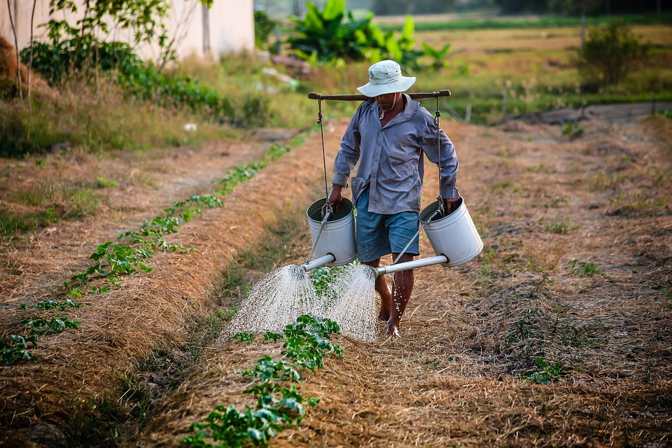 agricultor El Digital de Asturias
